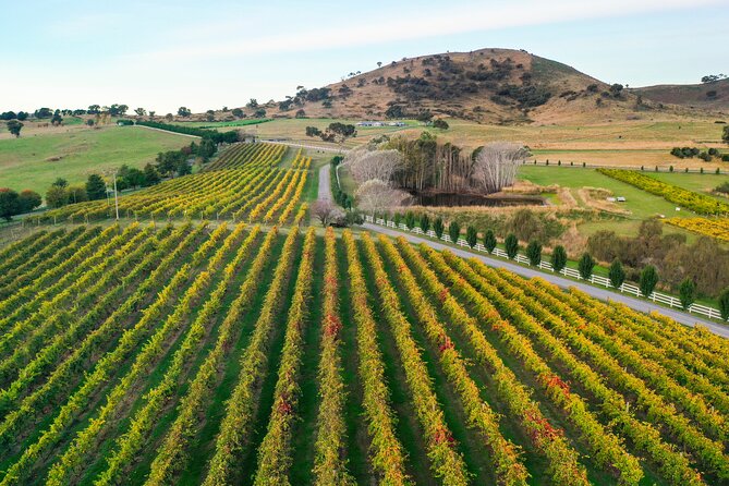 Private Canberra Winery Tour with lunch - Who this tour suits best in Canberra