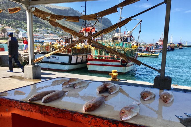Private Day Tour to Cape Point , Penguins, Wine or Beer Tasting - Hout Bay to Long Beach: a coastal break with history and surfers
