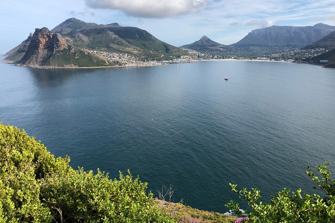 Private Day Tour to Cape Point , Penguins, Wine or Beer Tasting - Cape of Good Hope and the Cape of Storms tea stop