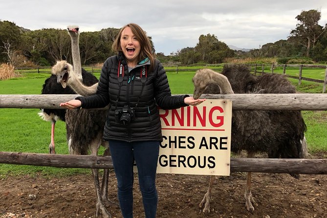 Private Day Tour to Cape Point , Penguins, Wine or Beer Tasting - Cape Point Ostrich Farm: funny, messy, and worth the laugh