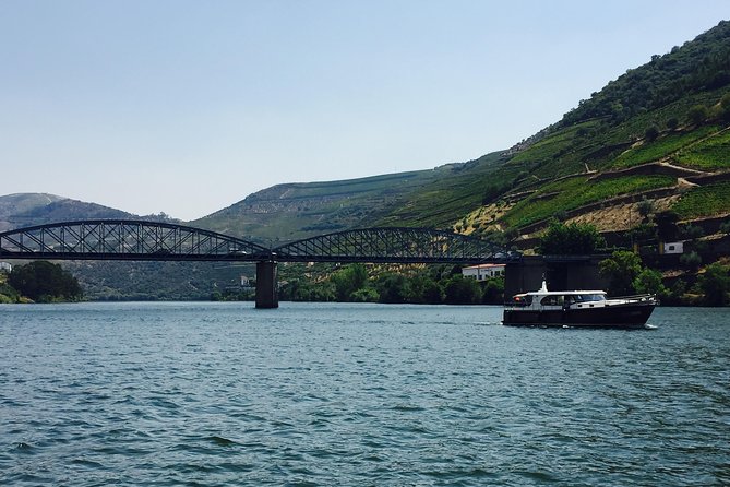 Private Douro Valley Food and Wine Tour From Porto - Casal de Loivos: the olive oil museum and a family cellar tasting