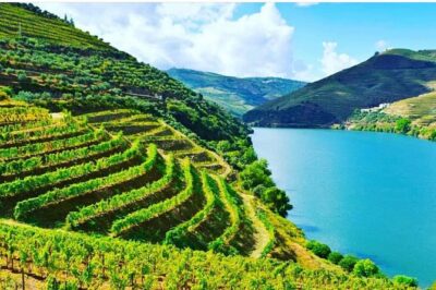 Private Douro Valley Food and Wine Tour From Porto - Stop 1: Peso da Régua for quick river views with room to breathe