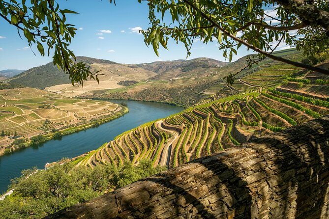 Private Douro Valley Tour: Boutique Winery & River Cruise - Key things I’d mark on your checklist