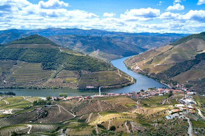 Private Douro Valley Tour: Boutique Winery & River Cruise - Pickup and timing: what to expect from the 8:30 AM start