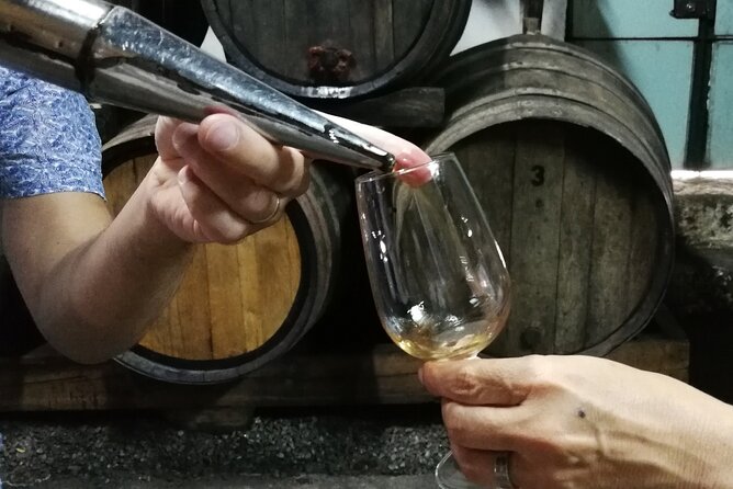 Private Douro Valley Wine Tour - A Private Douro Day: Porto to UNESCO Wine Country