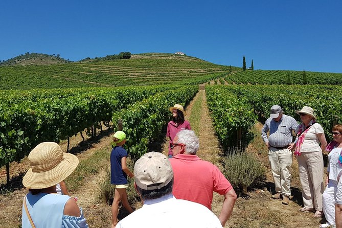 Private Douro Valley Wine Tour: 2 Wine Estates, Lunch and Cruise - Key Highlights at a Glance