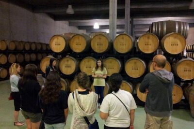 Private Douro Valley Wine Tour: 2 Wine Estates, Lunch and Cruise - Welcome to the UNESCO Douro: Why This Valley Looks the Way It Does