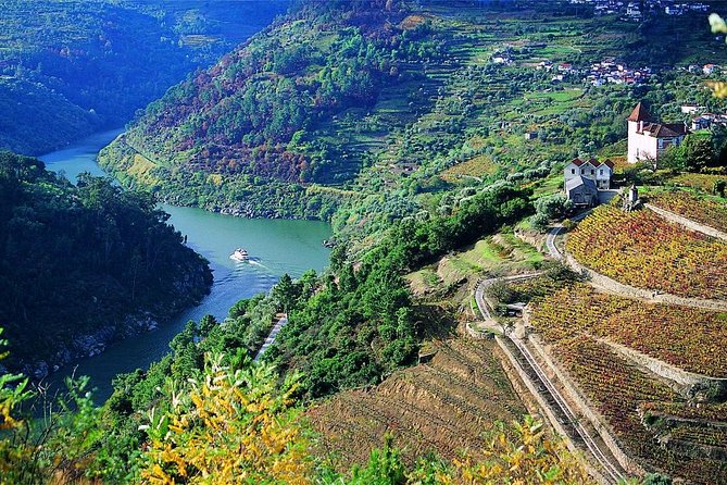 Private Douro Valley Wine Tour: 2 Wine Estates, Lunch and Cruise - Pinhão Rebelo Boat Cruise: A Relaxing 45–50 Minutes on the River