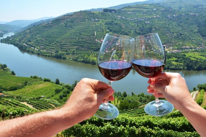 Private Douro Valley Wine Tour: 2 Wine Estates, Lunch and Cruise - Estrada Nacional 222: The Iconic Douro Road Photo Moment
