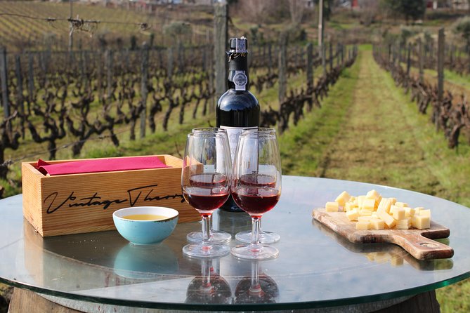 Private Douro Valley Wine Tour: 2 Wine Estates, Lunch and Cruise - Second Winery Visit: Final Tastings and the Vineyard-to-Bottle Wrap-Up