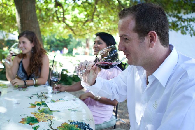 Private Full Day Stellenbosch Wine Tour with Pick Up and Drop Off - Tokara lunch stop: where you should plan your spending