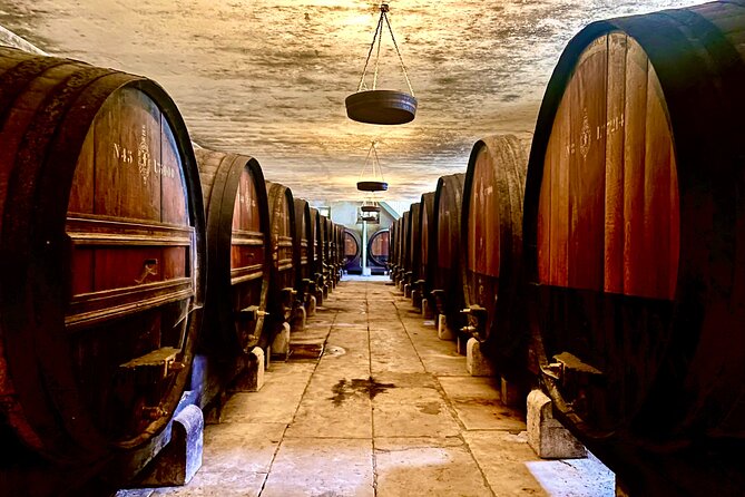 Private Lisbon-Arrábida Wine Tour: 3 Wineries, Coast & Heritage - Mercado do Livramento in Setúbal: oysters, tiles, and serious seafood