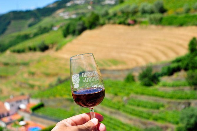 Private off the beaten Douro Valley Wine Tour - Lamego Port-Focused Tasting on a Family Estate