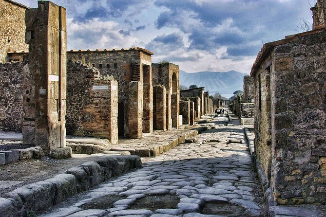 Private Pompeii Tour with Organic Wine Tasting & Lunch - Key things that make this tour work