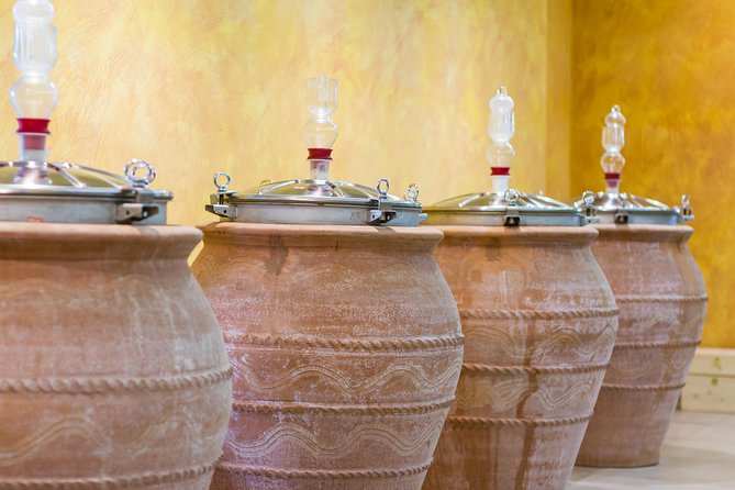 Private Pompeii Tour with Organic Wine Tasting & Lunch - Bosco de’ Medici Winery: vineyards, cellar, and the reset you need