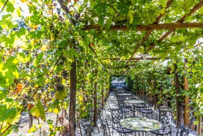 Private Pompeii Tour with Organic Wine Tasting & Lunch - Pompeii Archaeological Park: two hours of street-level storytelling