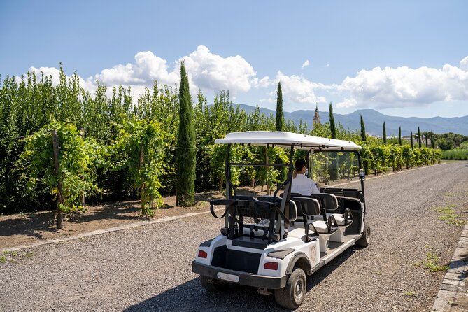 Private Pompeii Tour with Organic Wine Tasting & Lunch - Price and timing: is $217.22 per person good value?