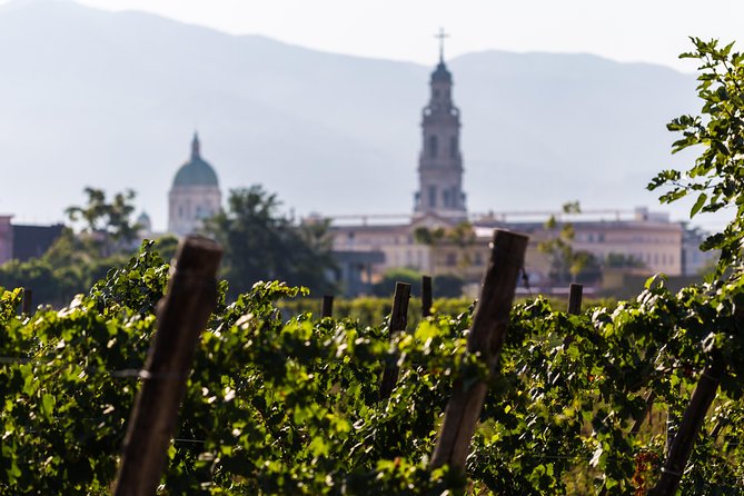 Private Pompeii Tour with Organic Wine Tasting & Lunch - Should you book this Pompeii + organic wine day?