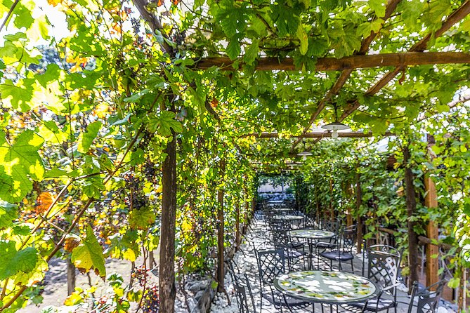 Private Pompeii Tour with Organic Wine Tasting & Lunch - Pompeii Archaeological Park: two hours of street-level storytelling