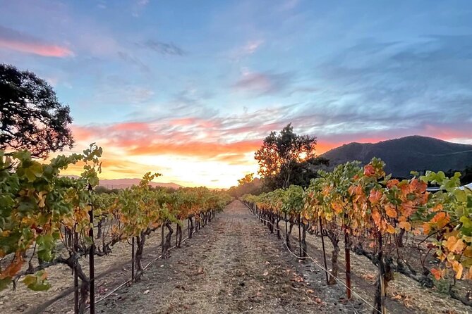 Private Santa Barbara Wine Country Vineyards & Villages Tour - A private Santa Barbara Wine Country day with real flexibility