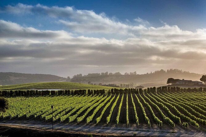 Private Santa Barbara Wine Country Vineyards & Villages Tour - Stop 1: Solvang Danish village or a vineyard winery setting