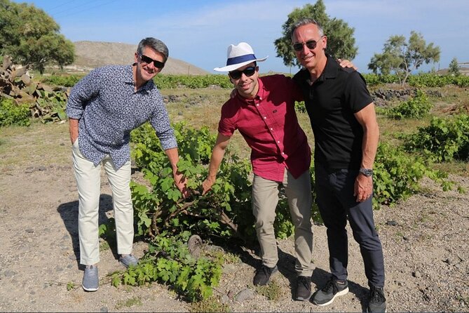 Private Santorini Sunset Wine Tour with Tastings and Tapas - Santo Wines: the sunset views and the free admission twist