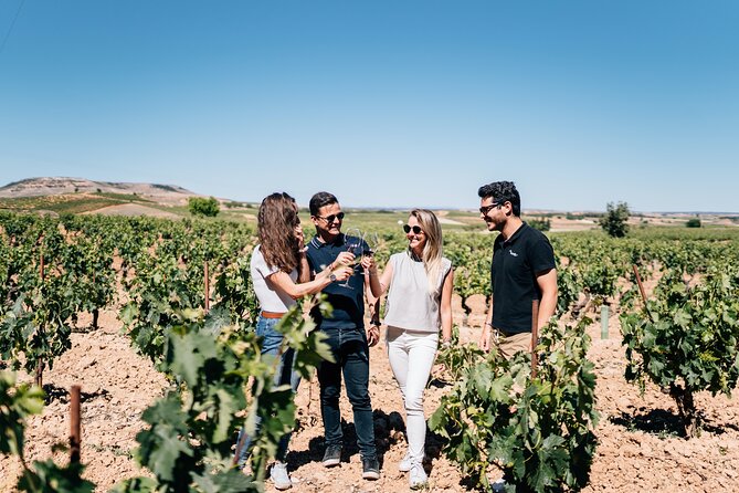 Private Segovia & Ribera del Duero with Wine Tasting from Madrid - Key things to know before you go
