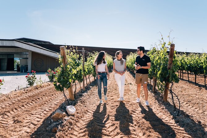 Private Segovia & Ribera del Duero with Wine Tasting from Madrid - Price and logistics: is $1,021.92 per person good value for what you get?