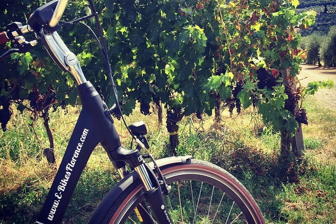 Private Self-Guided E-Bike Ride in Tuscany with Vineyard Visit - How This Florence-to-Tuscany E-Bike Day Really Works
