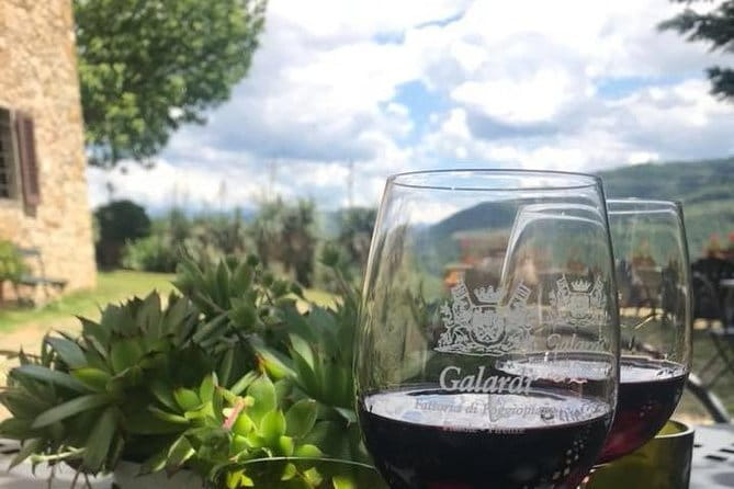 Private Self-Guided E-Bike Ride in Tuscany with Vineyard Visit - Stop 2: The Boutique Vineyard Near the Arno (Agriturismo Poggiopiano)