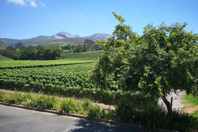 Private Stellenbosch, Franschhoek Paarl Wine Tour from Cape Town - Pickup, timing, and what to do if your hotel name differs