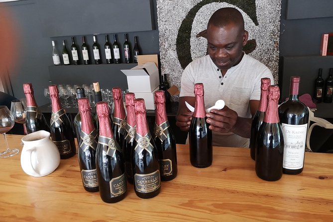 Private Stellenbosch, Franschhoek Paarl Wine Tour from Cape Town - First tasting in the Paarl region: choosing how much you want to drink