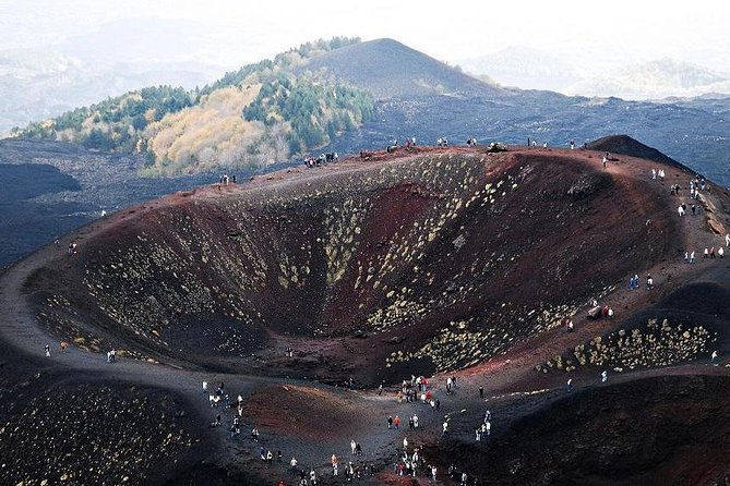 Private tour of Etna and Winery Visit with Food and Wine Tasting from Taormina - The Etna Winery Lunch and Wine Tasting That Actually Teaches You Something