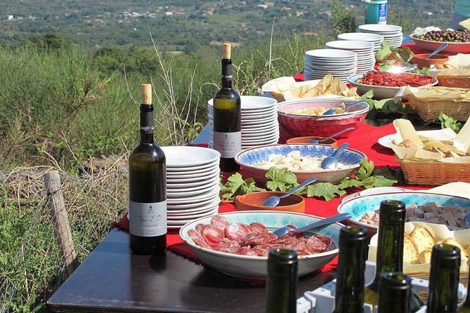 Private tour of Etna and Winery Visit with Food and Wine Tasting from Taormina - Extra Stops and Customization: When Your Guide Makes It Better