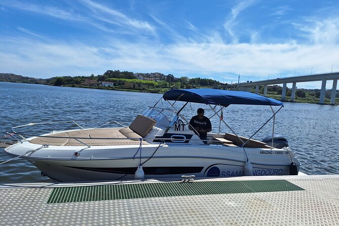 Private Tour of the 6 Bridges with Port Wine - Port wine cellars and Serra do Pilar: turning the cruise into a true Porto memory