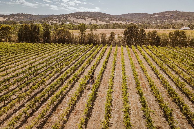 Private Tour: Premium Swan Valley Wine Tour from Perth - A VIP Swan Valley day that stays off the crowd track