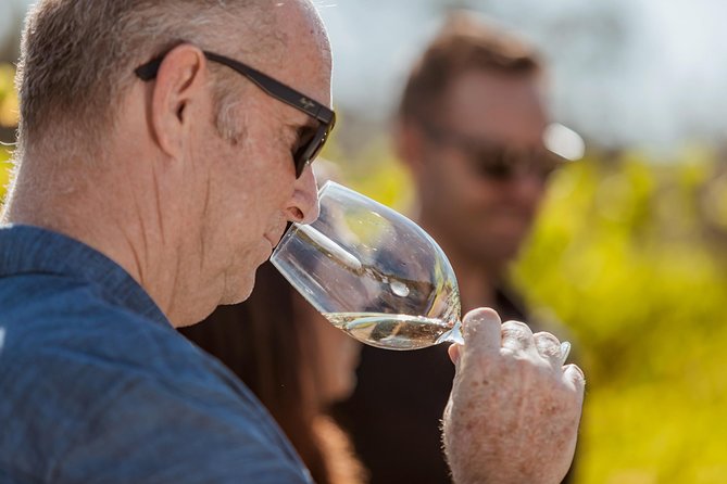 Private Tour: Premium Swan Valley Wine Tour from Perth - Inside the itinerary: what happens during the Swan Valley time