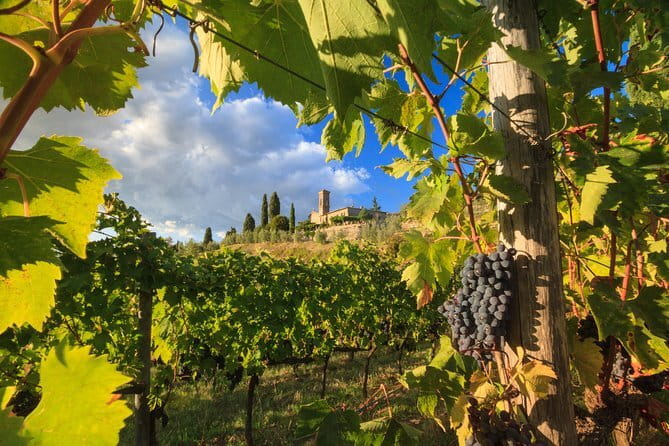Private Tuscany Tour from Florence Including Siena, San Gimignano and Chianti Wine Region - Key things that make this Tuscany day work