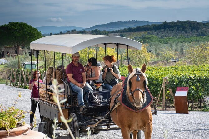 Private Tuscany Tour from Florence Including Siena, San Gimignano and Chianti Wine Region - San Gimignano’s towers: exactly why the city looks like a medieval skyline