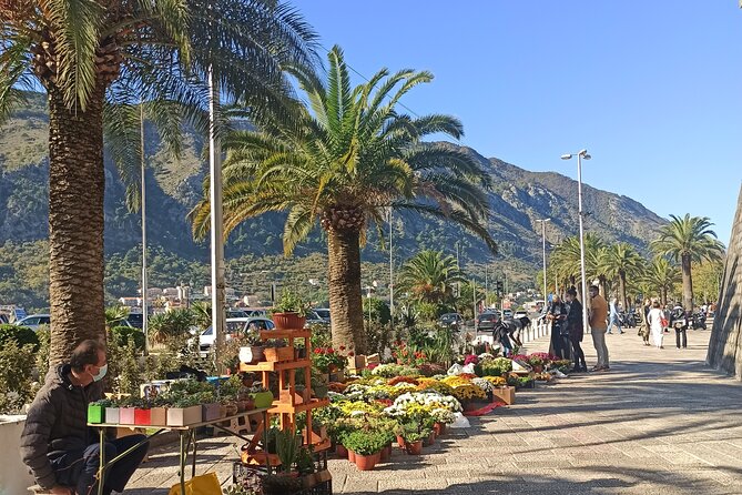 Private Walking tour with Wine and Food - How the private format changes your Kotor day