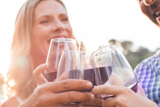 Private Wine & Charcuterie Tour (Customizable) - Key highlights worth planning for