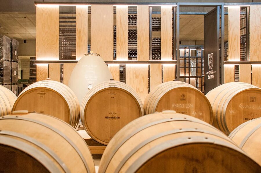 Private Wine, Tapas & Cava Experience from Barcelona - Tastings and Tapas: Up to 8 Drinks, Curated Snacks, No Guesswork