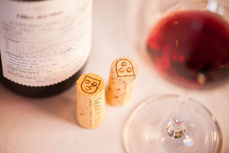 Private Wine, Tapas & Cava Experience from Barcelona - The Guides: Where This Tour Really Wins