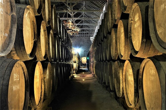 Private Wine Tasting in the Setúbal Wine Region, from Lisbon - The Setúbal wine region: a scenic choice when you want variety
