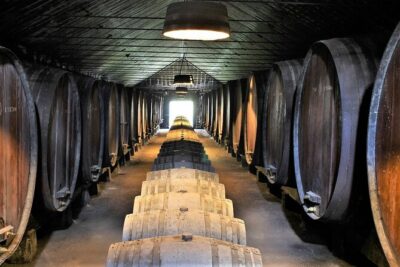 Private Wine Tasting in the Setúbal Wine Region, from Lisbon - Choosing your winery plan: 3 tastings-heavy stops or 2 + lunch