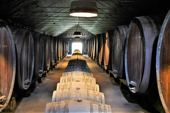 Private Wine Tasting in the Setúbal Wine Region, from Lisbon - Choosing your winery plan: 3 tastings-heavy stops or 2 + lunch