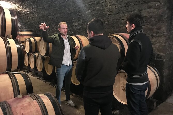 Private Wine Tasting Tour - Burgundy Uncorked!! - Beaune to the Vineyards: How This 8–9 Hour Private Day Really Feels