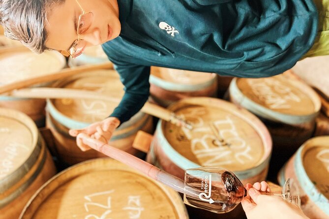 Private Wine Tour at Valle de Guadalupe (A wine tasting included). - Key Highlights You’ll Care About