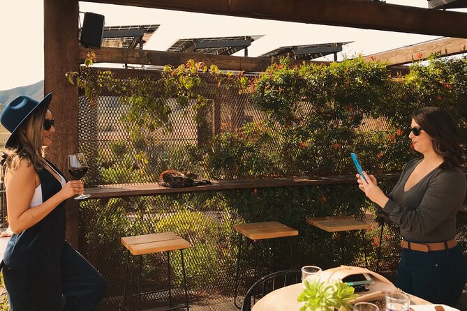 Private Wine Tour at Valle de Guadalupe (A wine tasting included). - Private Valle de Guadalupe Wine Tour: What This Day Feels Like