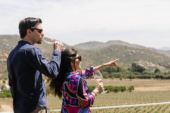 Private Wine Tour by Ansell Tours - Price and Value: How the $275 Fits Real-World Wine Costs